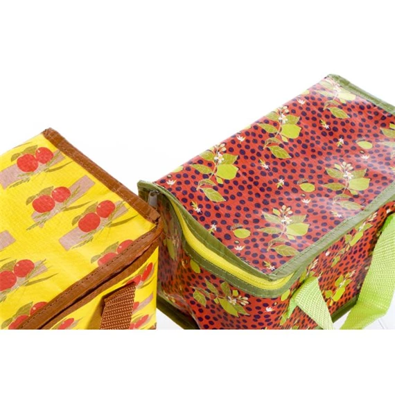 Táska hőtartó gyümölcsök 21x14x13 cm 3 féle