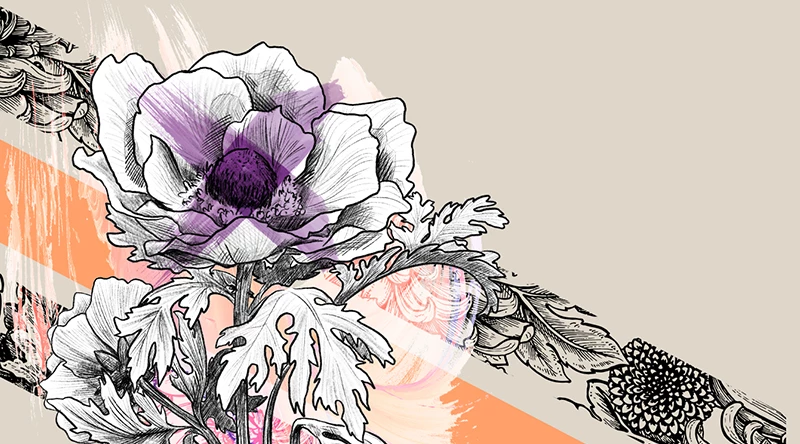 Tavasz-nyár 2024 - bemutatóterem