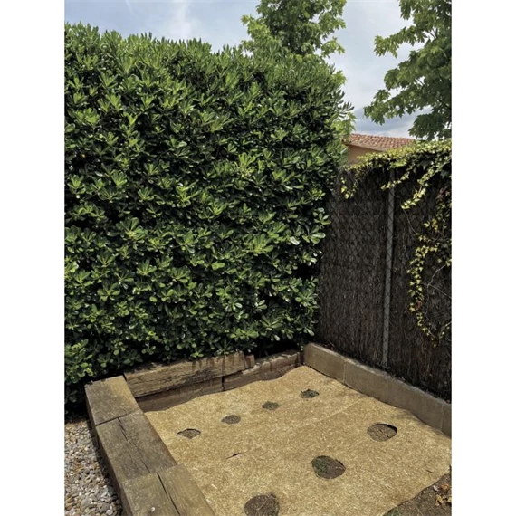 Természetes talajtakaró 75 cm x 5 m