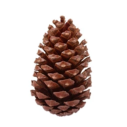 Toboz hálós 14-18 cm S/5
