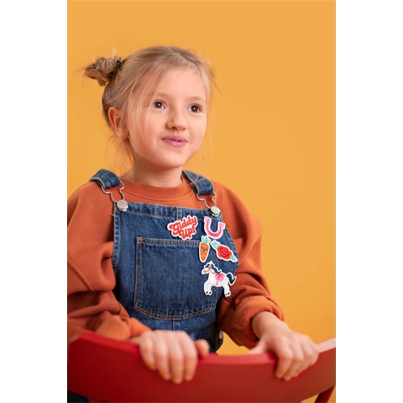 Vasalható matrica giddy up, mix, 2-7x3,5-7 cm S/5