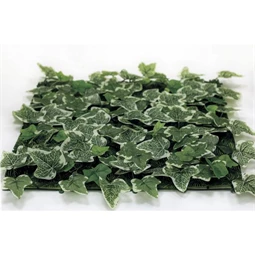 Zöldfal Borostyánnal 50x50 cm