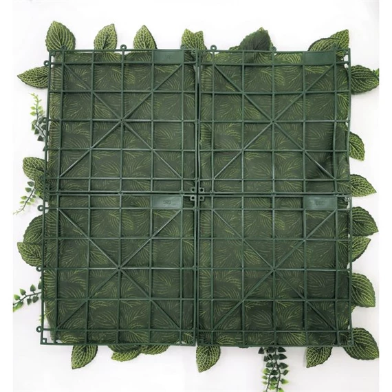 Zöldfal Fittonia levelekkel 50x50 cm